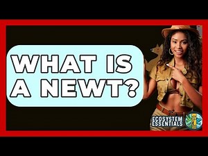 What Is A Newt? - Ecosystem Essentials