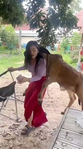 Most Funniest Moments 😂 #funnymoments #funnyvideos #AI | Best Video Compilation