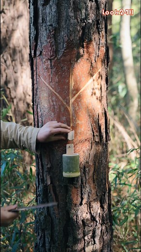 316K views · 7.9K reactions | "The brush pen is one of the Four Treasures of the Chinese Study." #HeritageGuardians #BayoungHeritageProject | Look24H | Facebook