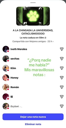 Notas de Chat Noir: ¿Por qué nadie me habla? | Miraculous