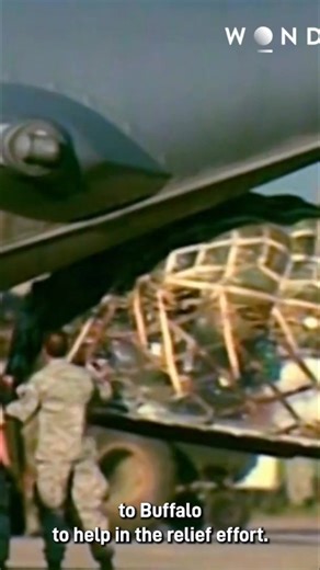 When Haiti was struck by a massive earthquake, Buffalo received an SOS call for help. An Electra war plane, capable of landing on almost any airstrip, was their best shot—but it needed urgent repairs after months buried in snow. A race against time began to get it ready. #HaitiEarthquake #ReliefEffort #Buffalo #Aviation #EmergencyResponse From: Ice Pilots Series 02 Episode 06 | The Wonder Channel