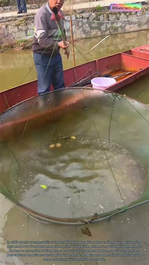 L'art de la pêche : la technique du filet à levée