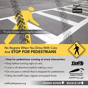 Pedestrian Safety