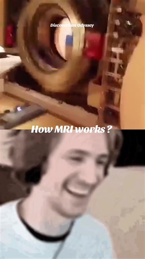 Understanding How MRI Works: A Deep Dive