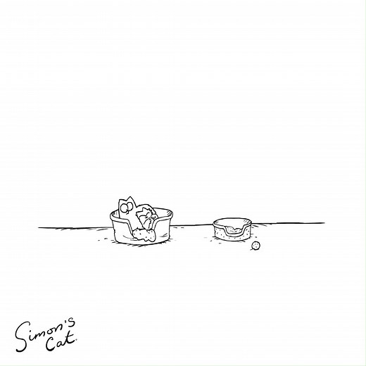 😴 Shhh! Let them sleep...What's your cat's favorite sleep position? | Simon's Cat