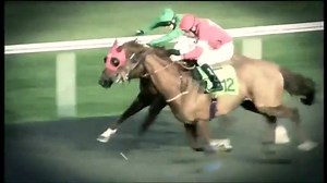 48K views · 287 reactions | 2014 Barney Curley's Four-Timer Betting Coup - @horsevault #barneycurley #horseracingawaydays #horseracing | Horse Racing Away Days | Facebook