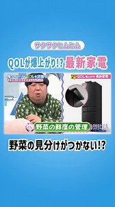🌃☁️☁️┊┊☆┊☆ 　野菜の見分けが☆　 　つかない!?　キャベツとレタスの違い　わからない人いますよね🫣📺TVer限定の配信完全版は　固定ポストから見て欲しいんだメェ〜🐏👀!!✨🌸『#サクサクヒムヒム』🍄　佐久間大介(Snow Man) 　日村勇紀(バナナマン)