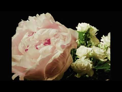 Payphone ✨💕 - Alex Krawczyk