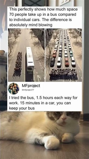 The difference in road space between cars and one bus