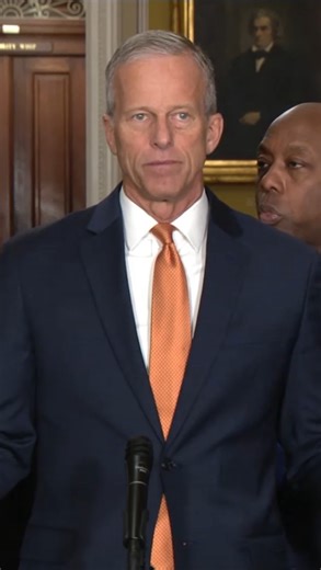 Senate Majority Leader John Thune (R-SD) on Tuesday backed off the idea of forcing votes on so-called rifle shot funding bills to pay some federal workers during the shutdown, including troops and air traffic controllers. “This piecemeal approach, where you do one-off here, one-off there to make it seem more politically palatable to somebody or less painful, that’s just the wrong way to do this,” he told reporters on the 28th day of the shutdown. “There’s just a simple way to do it — it’s to pic
