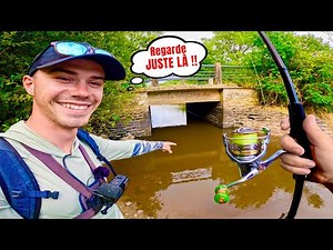 La rivière se vide et dévoile de nouveaux spots de pêche remplis de poissons !! Ft ‪@bardecume‬