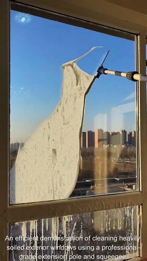 Exterior Window Surface Cleaning