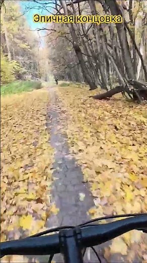 How to fall off a bike correctly