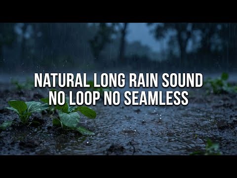 VERY Natural "NO LOOP" Heavy Rain Sound for Deep Sleep & Relaxation | ASMR Rain 1 Hour