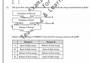 C. 4D. 6The given flow chart shous different processes inolve... | Filo