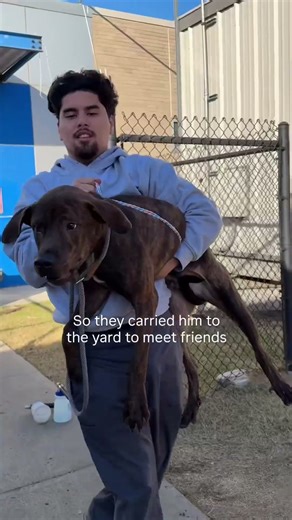 Look at Martin’s transformation