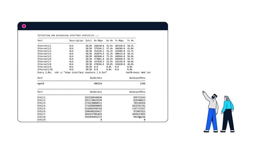 Cisco Intelligent Packet Flow: Dynamic Telemetry Load Balancing Prevents Congestion in Real Time  - Cisco Video Portal