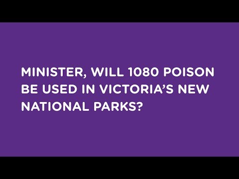 Will 1080 Poison Be Used in Victoria’s New National Parks? | Georgie Purcell MP (14th Oct 2025)