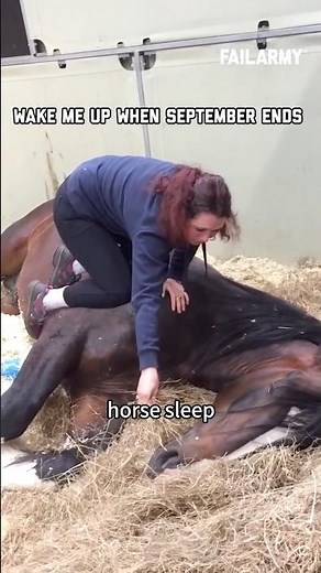 Do Horses Really Sleep Lying Down? Here’s the Truth.😴#HorseFacts #HorseSleeping #animalfacts