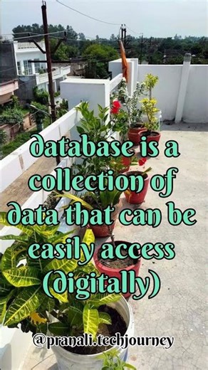 Data vs Database in 20 Seconds