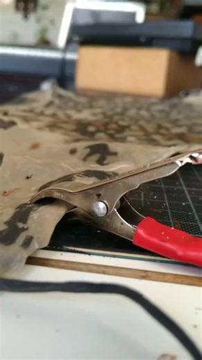 Bioelectric Interface System — Signal Translation Test 01