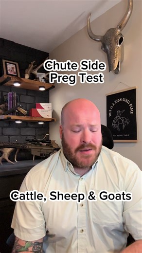 Discover Top Livestock Farming Tips