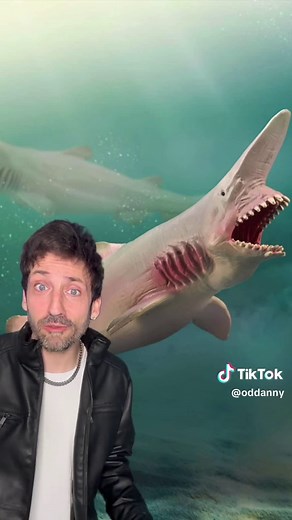 Understanding the Goblin Shark: Nature's Strangest Predator