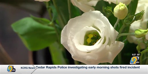 Flower shop preparing for Valentine’s Day