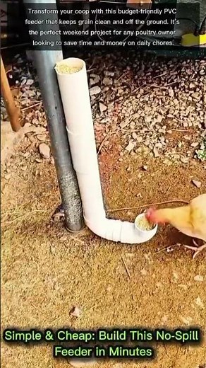 Simple & Cheap: Build This No-Spill DIY Chicken Feeder in Minutes