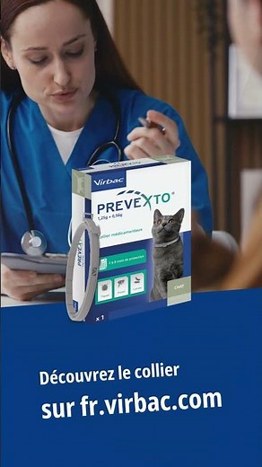 Attention les puces et les tiques sont là ! Découvrez le collier antiparasitaire Prevexto pour chat