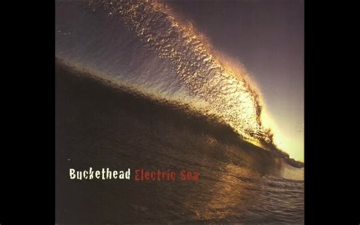 Buckethead - Swomee Swan (Electric Sea)