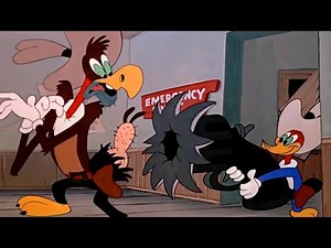 Woody Woodpecker | Wild and Woody! | 1948 | Classic Cartoon