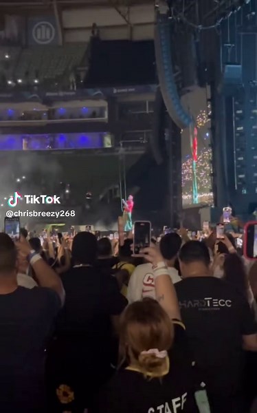 Chris Brown Concert Highlights and Fan Experiences