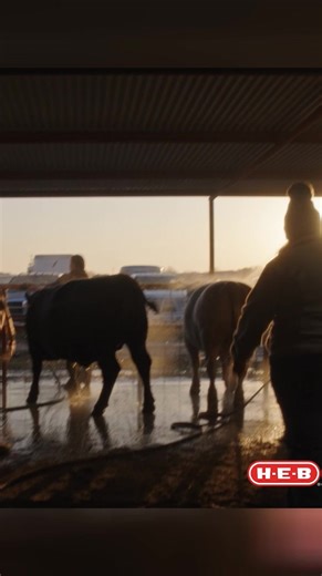 Supporting Fort Worth's next generation of Texans. | H-E-B