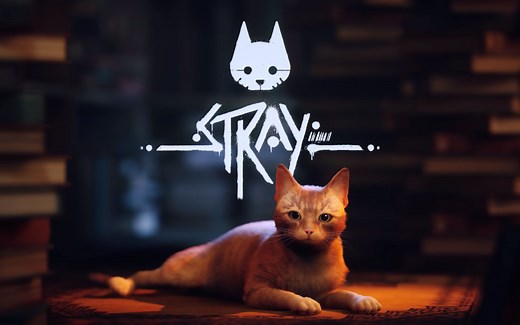 steam新游：《Stray》实况 猫猫模拟器（已完结）