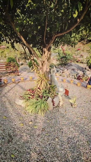 Gautam Buddha Under the Bodhi Tree — Shram Sanskriti Park Dharan Nepal | Part 8