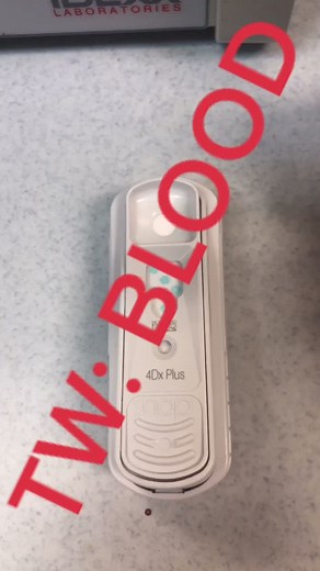 How to Test for Heartworm in Dogs