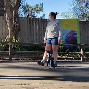 714K views · 935 shares | On Cito Jr's very first outing with his dad...