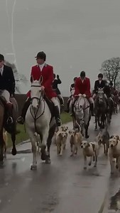 This secret revealed ......👇 https://smpl.is/adieh Nothing beats a day out hunting in the British countryside—the tradition, the camaraderie, the sheer beauty of the landscape. When the hounds speak, the world makes sense. The ultimate escape. #HuntingLife #BritishCountryside #Tradition #EquestrianLife #Hounds #CountrySports #Escape | Britain's Best Destinations