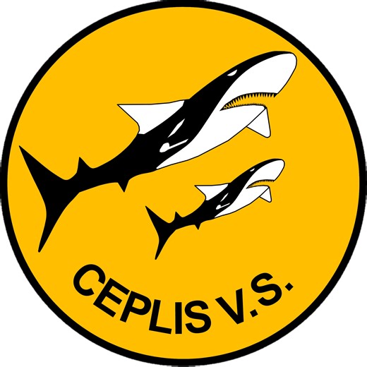 Thermorossi ILARIA EASY | Cast Iron Stove – 7,5 kW