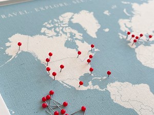 Custom Push Pin World Map: Modern Travel Tracker, Personalized Canvas Art - Etsy