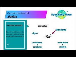 Conceptos basicos del algebra definiciones faciles de aprender