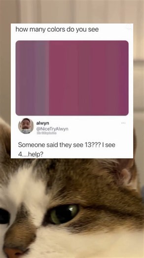 How Many Colors Can You Actually See? 👀