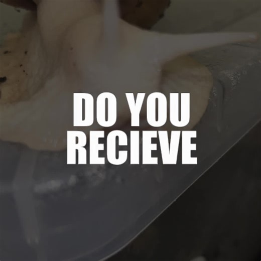 Booey dance #bababooey