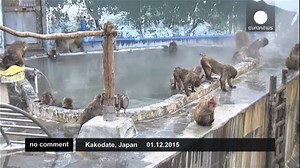 1.7K reactions · 1.5K shares | [no comment] Japan: Jacuzzi with pals...