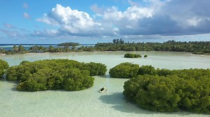 45K views · 159 reactions | Beautiful Laamu Atoll, Maldives. #maldives #maldivesislands #local #mangroves #islandlife | See from the Sky | Facebook