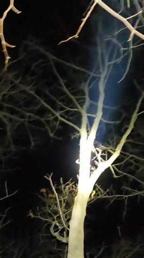 Missy And Ruby find number one For the night