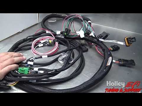 The New Holley Efi Terminator X for your Fox Body Mustang