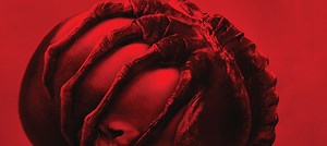 Alien: Romulus ganha cartaz com Facehugger; trailer chega amanhã (4) - Jovem Nerd