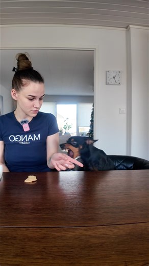 A social experiment with my dog 😹😹